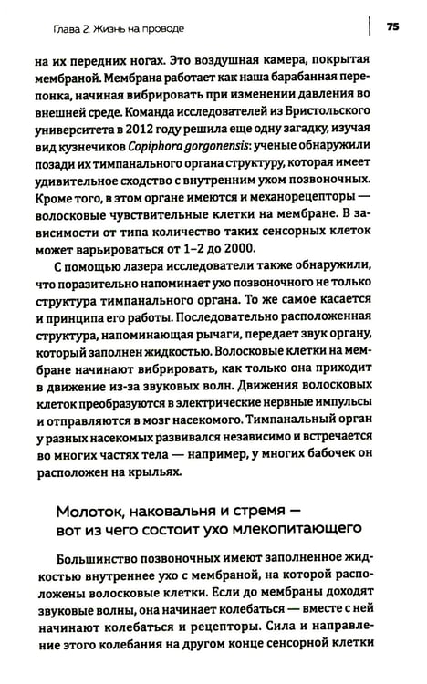 Дополнительное изображение книги «Купить В лесу никто не молчит. Как животные и растения общаются друг с другом»