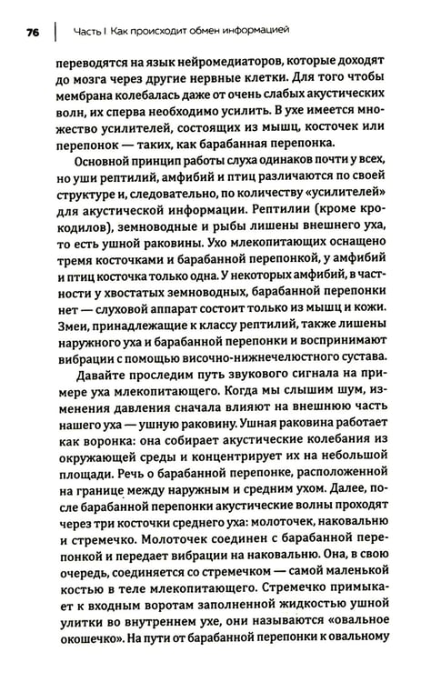 Дополнительное изображение книги «Купить В лесу никто не молчит. Как животные и растения общаются друг с другом»