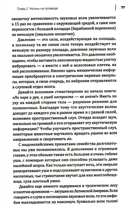 Дополнительное изображение книги «Купить В лесу никто не молчит. Как животные и растения общаются друг с другом»
