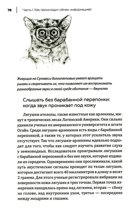 Дополнительное изображение книги «Купить В лесу никто не молчит. Как животные и растения общаются друг с другом»