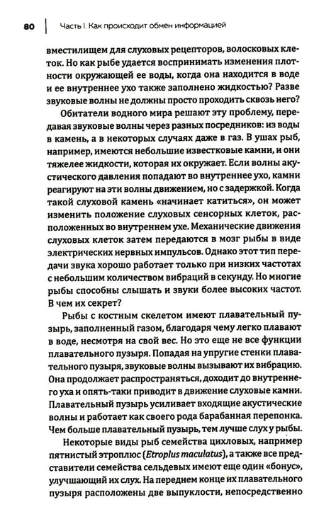 Дополнительное изображение книги «Купить В лесу никто не молчит. Как животные и растения общаются друг с другом»