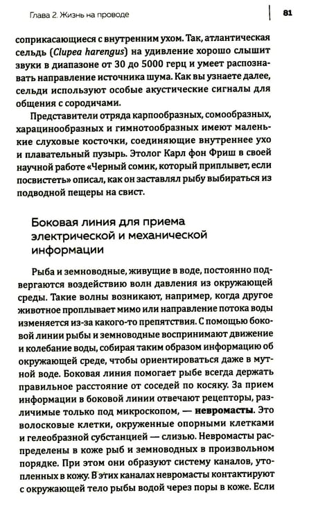 Дополнительное изображение книги «Купить В лесу никто не молчит. Как животные и растения общаются друг с другом»