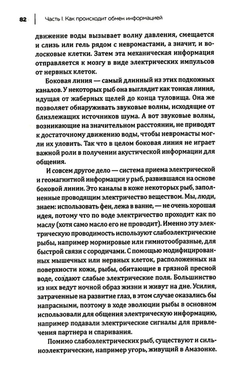 Дополнительное изображение книги «Купить В лесу никто не молчит. Как животные и растения общаются друг с другом»