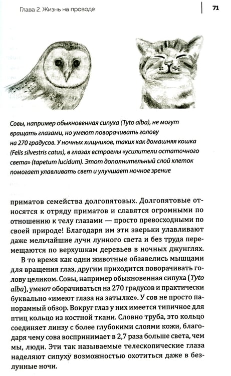 Дополнительное изображение книги «Купить В лесу никто не молчит. Как животные и растения общаются друг с другом»