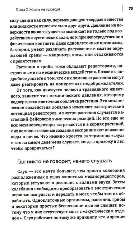 Дополнительное изображение книги «Купить В лесу никто не молчит. Как животные и растения общаются друг с другом»