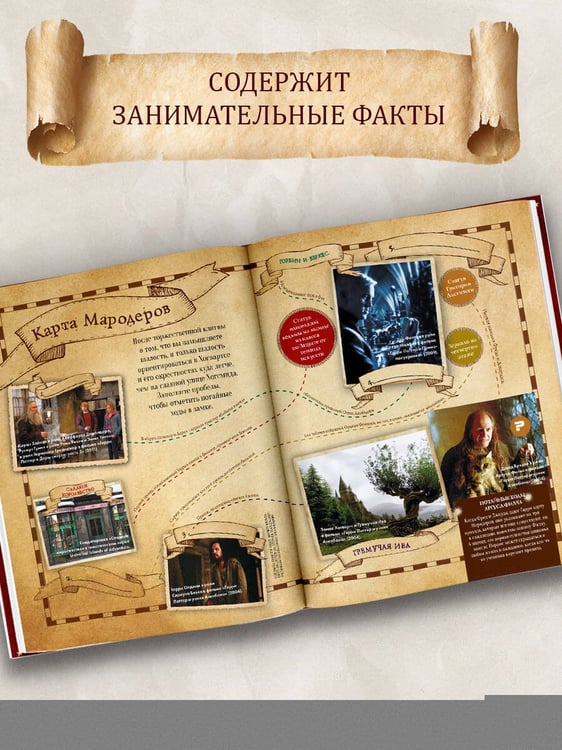 Дополнительное изображение книги «Лучшие головоломки по волшебному миру Гарри Поттера»