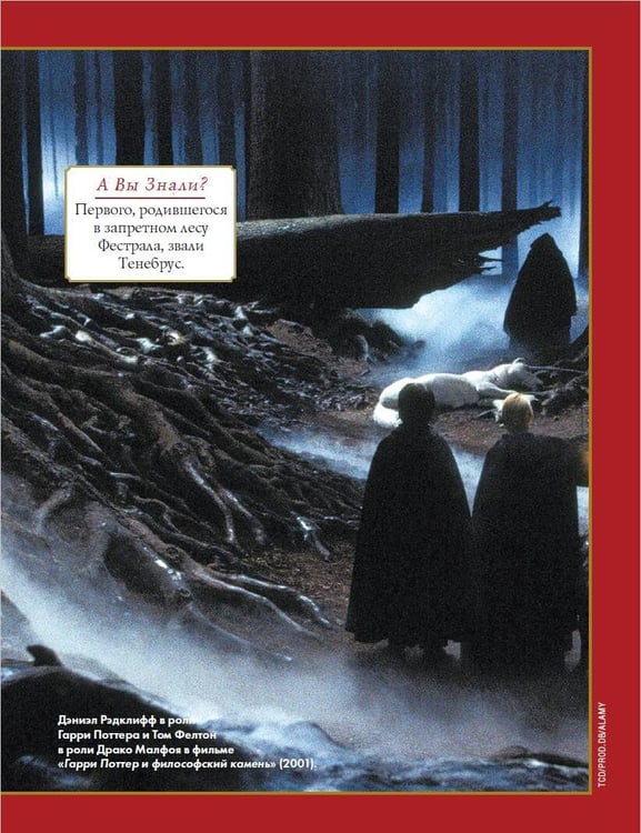 Дополнительное изображение книги «Лучшие головоломки по волшебному миру Гарри Поттера»
