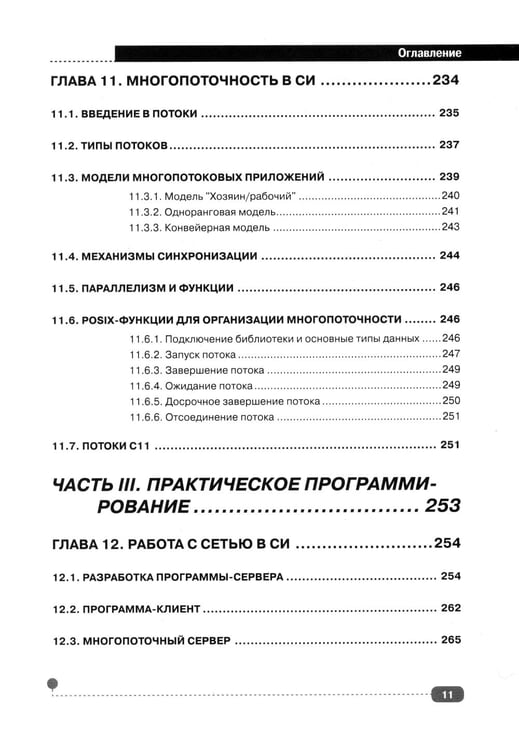 Дополнительное изображение книги «Си на примерах. Практика. практика и только практика»