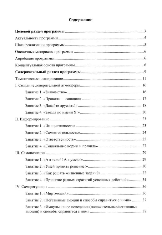 Дополнительное изображение книги «Инициативный, ответственный, самостоятельный дошкольник. Психолого-педагогическая развивающая программа.  6-7 лет»