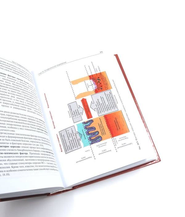 Дополнительное изображение книги «Патофизиология: Учебник. В 2 т. Т. 2. 5-е изд., перераб. и доп»