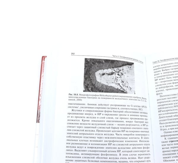 Дополнительное изображение книги «Патофизиология: Учебник. В 2 т. Т. 2. 5-е изд., перераб. и доп»