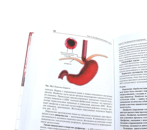 Дополнительное изображение книги «Патофизиология: Учебник. В 2 т. Т. 2. 5-е изд., перераб. и доп»