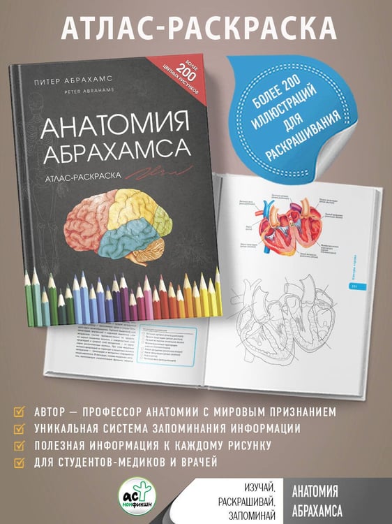 Дополнительное изображение книги «Анатомия Абрахамса. Атлас-раскраска»