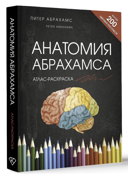 Дополнительное изображение книги «Анатомия Абрахамса. Атлас-раскраска»