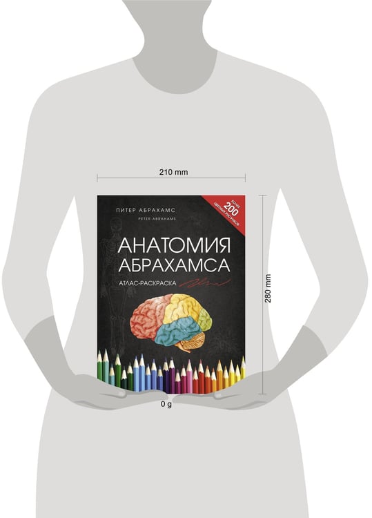 Дополнительное изображение книги «Анатомия Абрахамса. Атлас-раскраска»