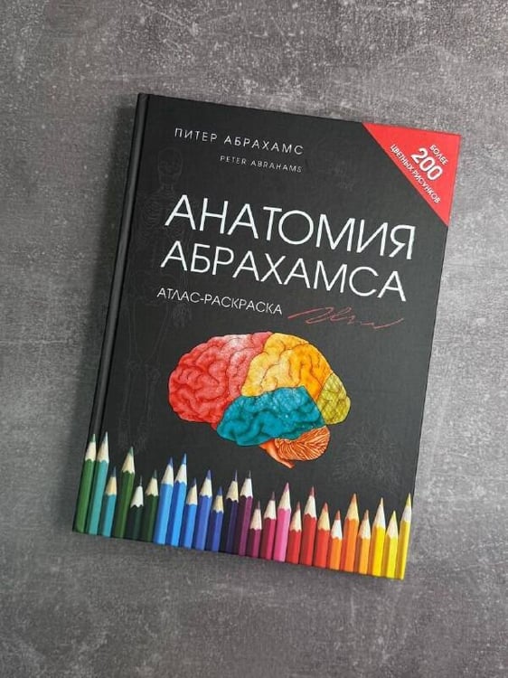Дополнительное изображение книги «Анатомия Абрахамса. Атлас-раскраска»