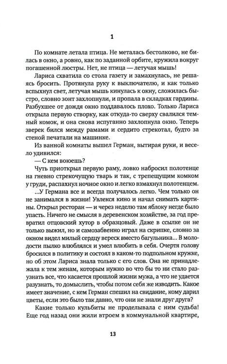 Дополнительное изображение книги «Свет в окне: роман»