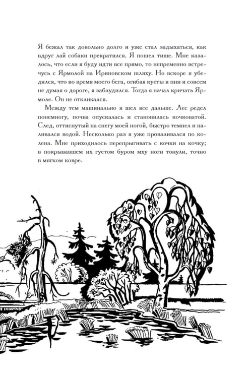 Дополнительное изображение книги «Олеся»