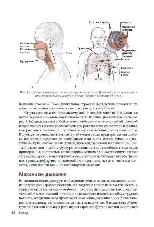 Дополнительное изображение книги «Анатомия пилатеса. Иллюстрированное руководство»