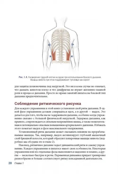 Дополнительное изображение книги «Анатомия пилатеса. Иллюстрированное руководство»