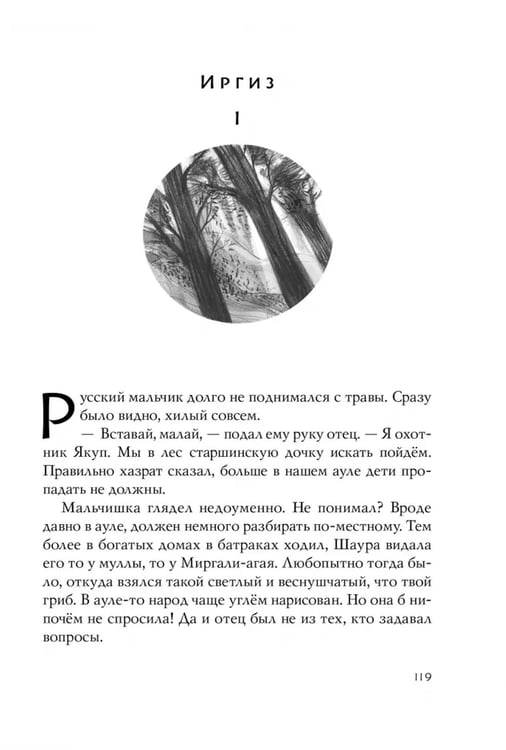 Дополнительное изображение книги «Аул»