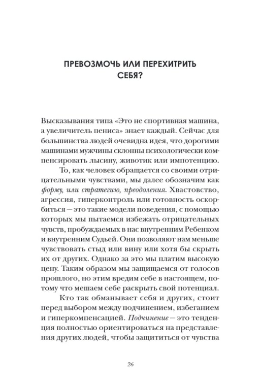 Дополнительное изображение книги «Не наступай на одни и те же грабли. Пойми своего внутреннего ребенка, измени модели поведения и найди счастье»