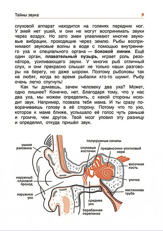 Дополнительное изображение книги «Свет и звук. Физика для детей»