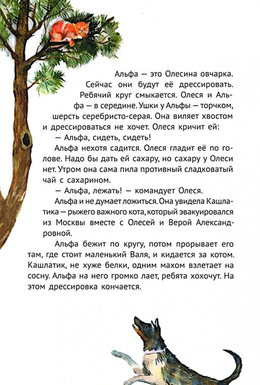 Дополнительное изображение книги «Сосны шумят»