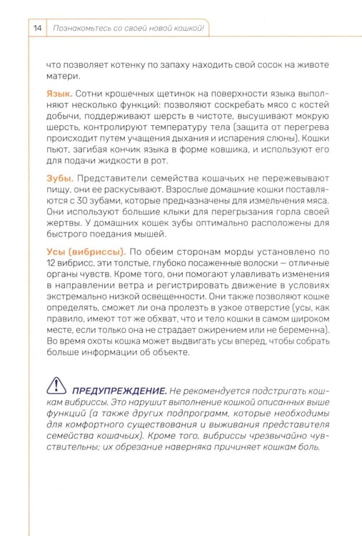 Дополнительное изображение книги «Кошка. Руководство пользователя»