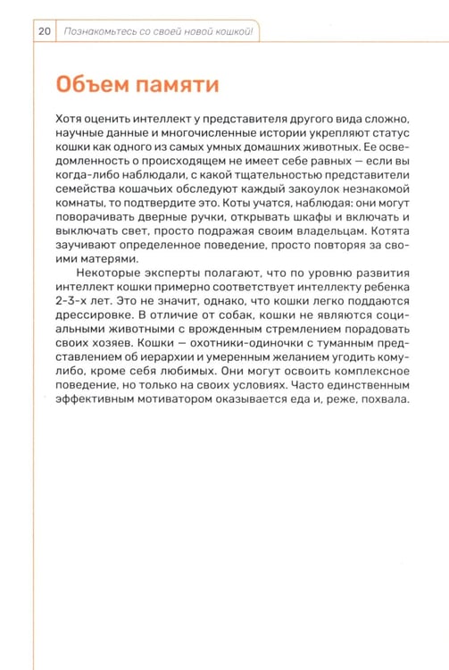 Дополнительное изображение книги «Кошка. Руководство пользователя»