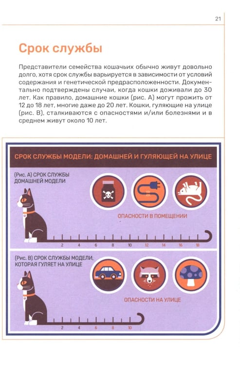 Дополнительное изображение книги «Кошка. Руководство пользователя»