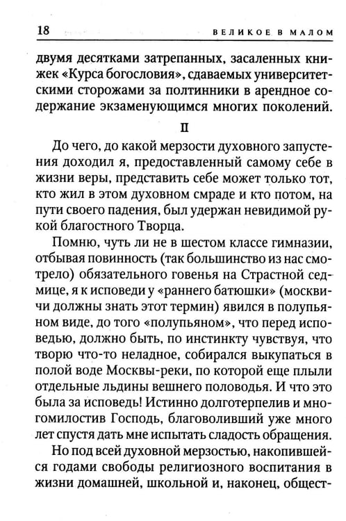 Дополнительное изображение книги «Великое в малом»