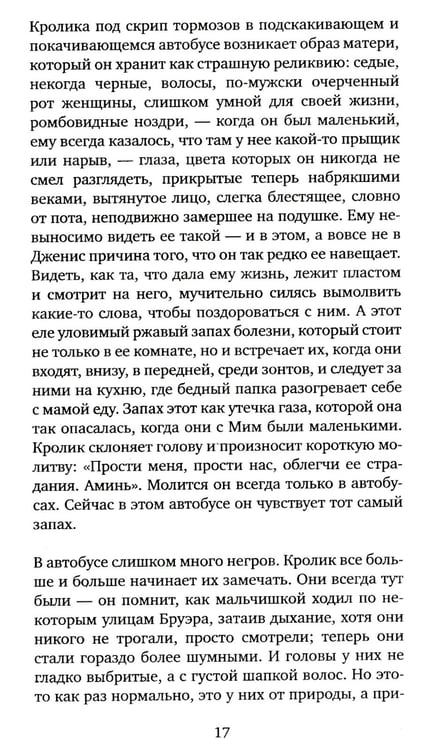 Дополнительное изображение книги «Кролик вернулся»
