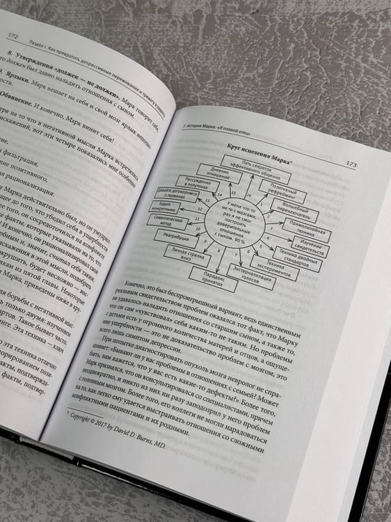 Дополнительное изображение книги «Терапия тревоги, настроения, депрессии. Новое издание. Революционный метод»