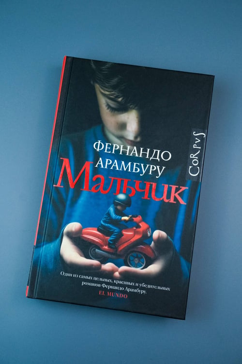 Дополнительное изображение книги «Мальчик»