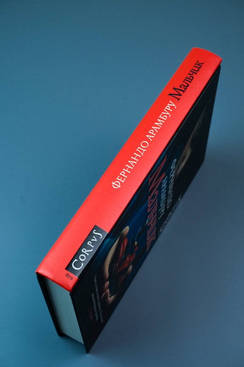 Дополнительное изображение книги «Мальчик»