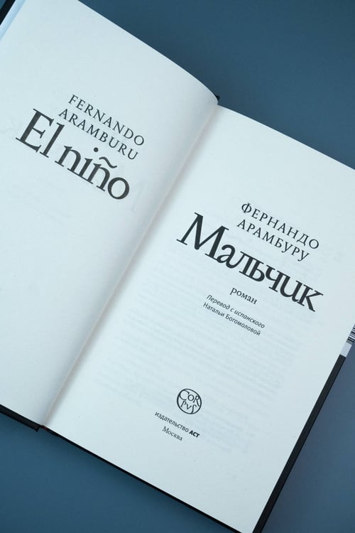 Дополнительное изображение книги «Мальчик»