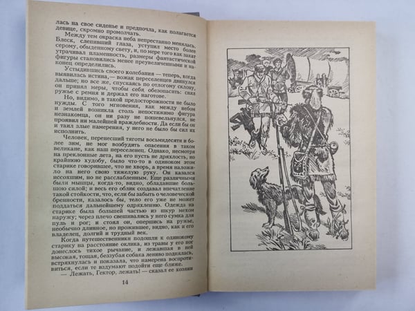 Дополнительное изображение книги «Прерия»