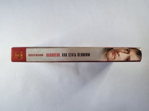Дополнительное изображение книги «Напалеон. Как стать великим»