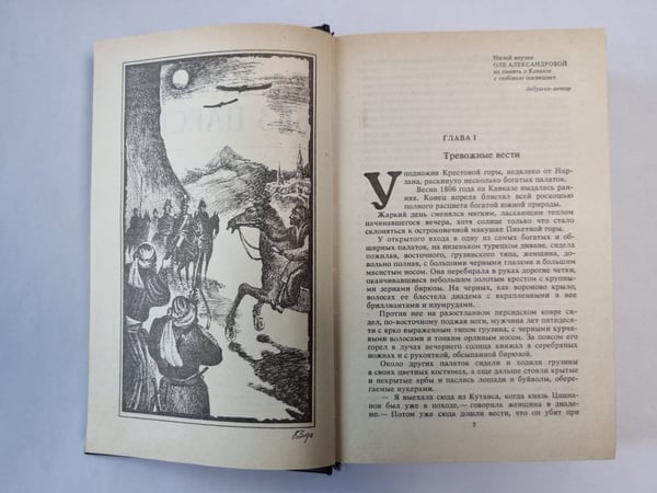 Дополнительное изображение книги «Железом и кровью»