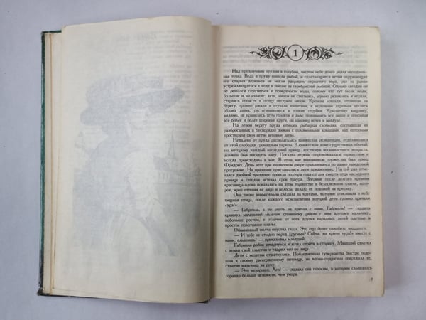 Дополнительное изображение книги «Дама с рубинами»