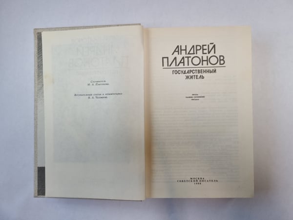 Дополнительное изображение книги «Государственный житель»