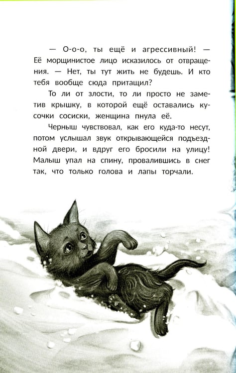 Дополнительное изображение книги «Счастье за дверью. 2-е изд»