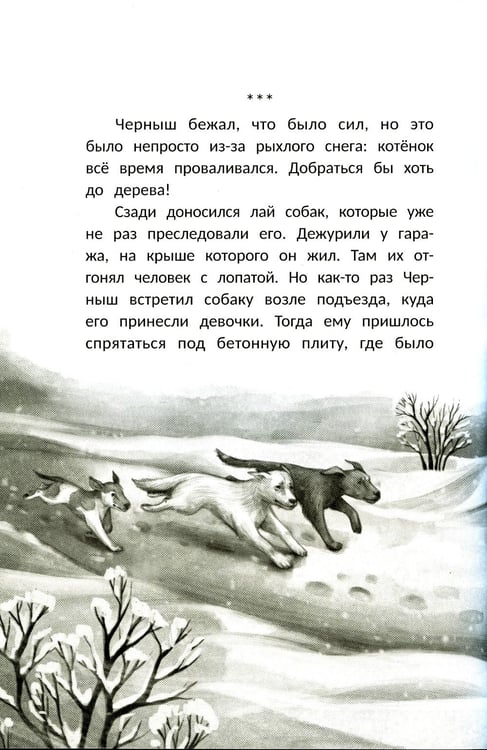 Дополнительное изображение книги «Счастье за дверью. 2-е изд»
