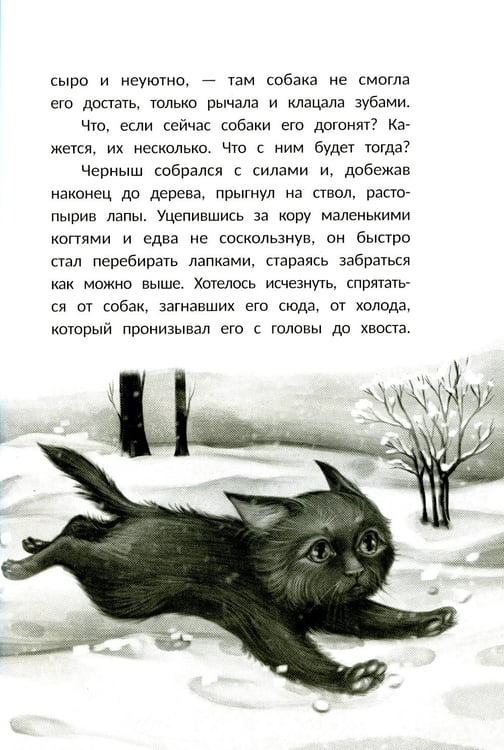 Дополнительное изображение книги «Счастье за дверью. 2-е изд»