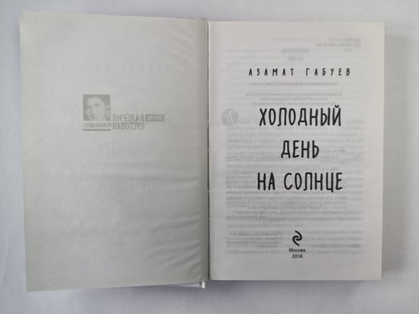 Дополнительное изображение книги «Холодный день на солнце»