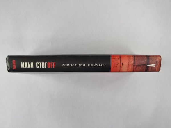 Дополнительное изображение книги «Революция сейчас»