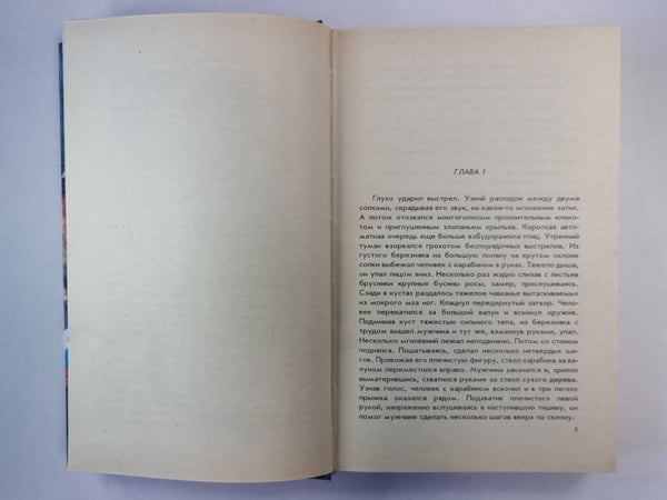 Дополнительное изображение книги «Наёмник»