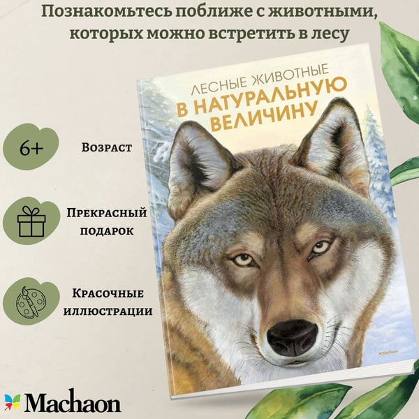 Дополнительное изображение книги «Лесные животные в натуральную величину»