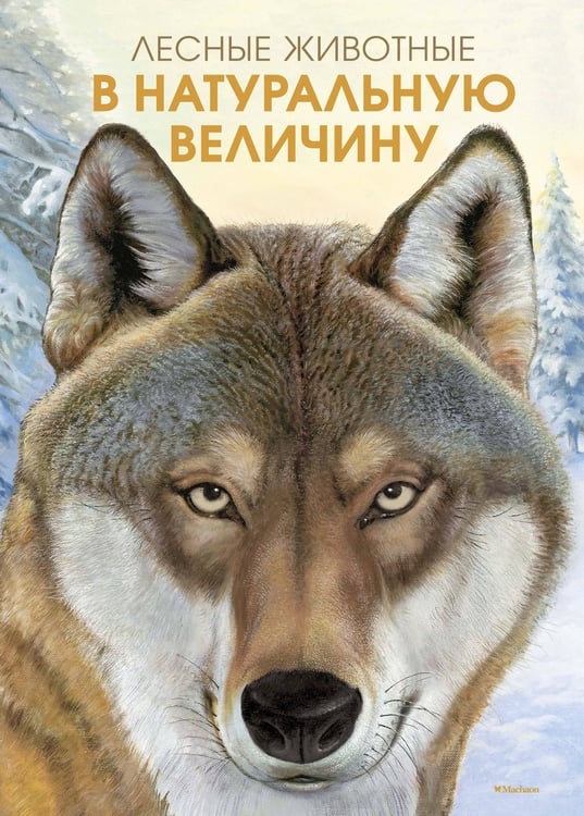 Обложка книги «Лесные животные в натуральную величину» — Хааг Хольгер, ISBN 9785389176621
